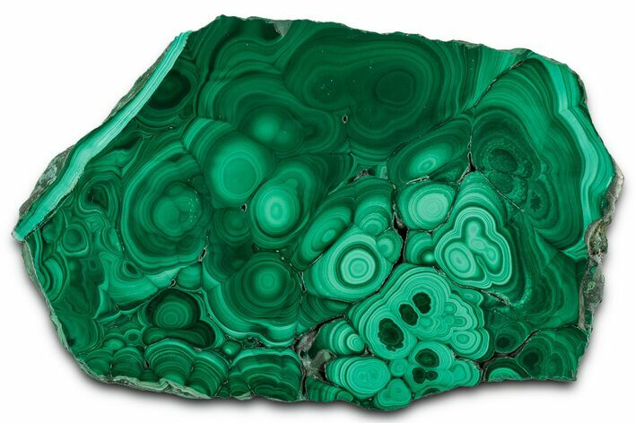 Flowery Polished Malachite Slab - DR Congo #350825